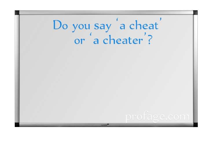 Do you say a cheat or a cheater, which is correct and which is not? 