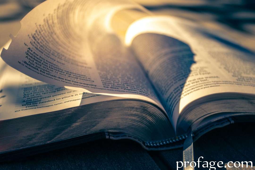 Is the Bible Fiction or Nonfiction? 